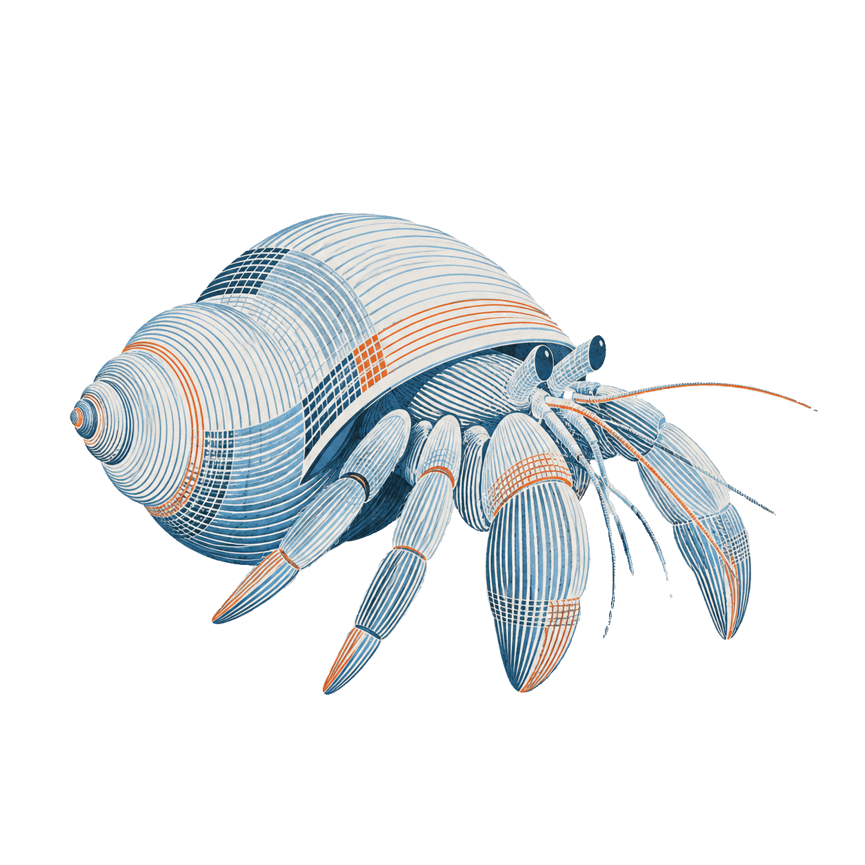 Stylized hermit crab illustration used as the homepage visual for Baize Mapping